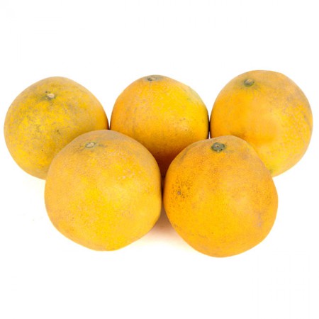 /products/bu%e1%bb%9fi-di%e1%bb%85n-lo%e1%ba%a1i-1/